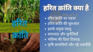 Read more about the article हरित क्रांति क्या है और क्यों यह कृषि क्षेत्र के लिए महत्वपूर्ण है?