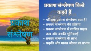 Read more about the article प्रकाश संश्लेषण किसे कहते हैं: जानिए इसके महत्त्व और प्रक्रिया