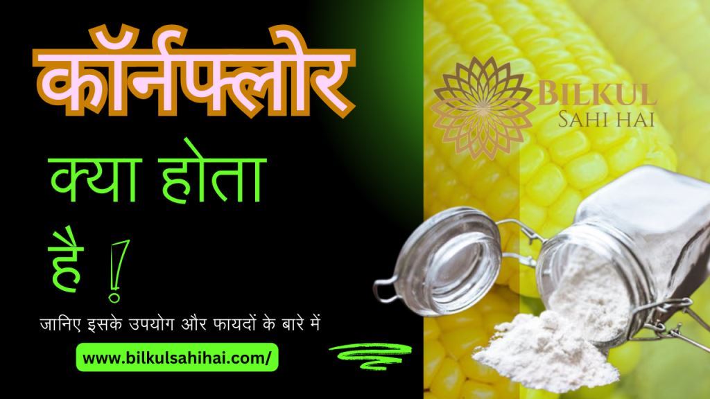 cornflour-kya-hota-hai-कॉर्नफ्लोर-क्या-होता-है